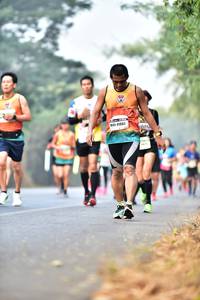 BIB: 41882
                            <button type="button" onclick="openModal(10128877)" class="btn btn-primary btn-sm float-right btn-popup" data-toggle="modal" data-target=".modal-high-quality">
                        <i class="fas fa-shopping-cart"></i> Add to Cart
                    </button>
                                            <button type="button" onclick="isThisMe(10128877, true)" class="btn btn-success btn-sm float-right btn-popup btn-isme hidden" data-toggle="tooltip" data-placement="bottom" title="นี่คือรูปของคุณใช่ไหม คลิกที่นี่เพื่อเอาเข้าอัลบั้ม">
                        <i class="fas fa-plus"></i> Add to album
                    </button>
                    <button type="button" onclick="isThisMe(10128877, false)" class="btn btn-warning btn-sm float-right btn-popup btn-isnotme hidden">
                        <i class="fas fa-ban"></i> Remove from album
                    </button>